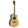 TAS1C TransAcoustic Guitar in Natural Finish