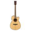TAS1C TransAcoustic Guitar in Natural Finish