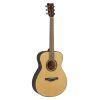 TAS1E TransAcoustic Guitar in Natural Finish
