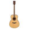 TAS1E TransAcoustic Guitar in Natural Finish