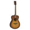 TAS1E TransAcoustic Guitar in Various Finishes