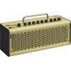THR10II Guitar Amp, Bag and Guitar System Transmitter