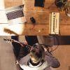 C Grade Refurbished THR10II Guitar Amp