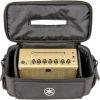 THR5 Home Guitar Amp and Bag