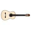 Torres SP/IN Acoustic Guitar