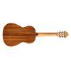 Torres SP/IN Acoustic Guitar
