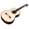 Torres SP/IN Acoustic Guitar