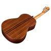 Torres SP/IN Acoustic Guitar