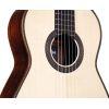 Torres SP/IN Acoustic Guitar