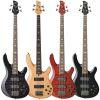 TRB-1004J 4-string Bass Guitar