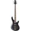 TRB-1004J 4-string Bass Guitar in Translucent Black