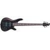 TRB-1005J 5-string Bass Guitar in Translucent Black