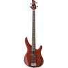 TRBX174EW Exotic Wood Bass Guitars