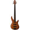 TRBX505 Electric 5-String Bass Guitar