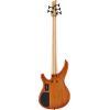 TRBX505 Electric 5-String Bass Guitar