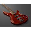 TRBX604FM 4-String Electric Bass Guitar In Caramel Brown Finish
