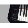 AvantGrand N1X Hybrid Piano