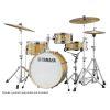 Stage Custom Hip Drum Kit (Drums Only)