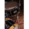 Stage Custom Hip Drum Kit (Drums Only)
