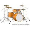 Tour Custom Drum Shell Set with 20&quot; Kick Drum 