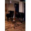 SLB-300 Silent Upright Bass