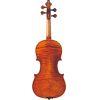 V20G Full Size (4/4) Violin