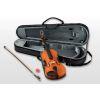 V5SA Fullsize (4/4) Violin Outfit