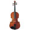 VA5S 16 inch Viola Outfit
