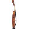 VA7SG 15.5 inch Viola Outfit