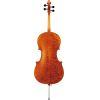 VC20G Full Size (4/4) Cello