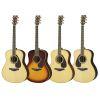 LL16 ARE Acoustic Guitar