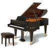 Grand Piano 225