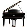 C6X Grand Piano