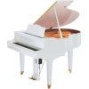 DGC1 Disklavier Enspire ST Grand Piano