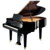 DGC2 Disklavier Enspire ST Grand Piano