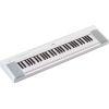 NP-15 Piaggero 61-Key Slimline Home Keyboard Essentials Pack