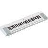 NP-15 Piaggero 61-Key Slimline Home Keyboard 