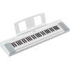 NP-15 Piaggero 61-Key Slimline Home Keyboard 