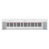 NP-15 Piaggero 61-Key Slimline Home Keyboard 