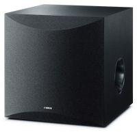 NS-SW100 Active Subwoofer