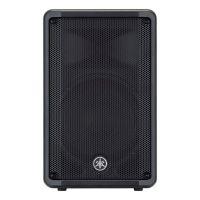 CBR10 Passive PA Speaker