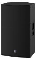 CZR15 Passive PA Speaker