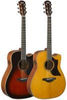 A3M ARE Electro-Acoustic Guitar