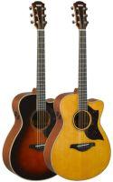 AC3M ARE Electro-Acoustic Guitar