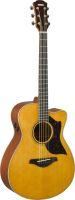 AC3M ARE Electro-Acoustic Guitar