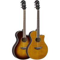APX600FM Electro-Acoustic Guitar