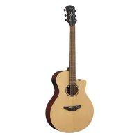 APX600M Electro-Acoustic Guitar