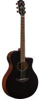 APX600M Electro-Acoustic Guitar