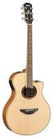 APX700II Electro-Acoustic Guitar