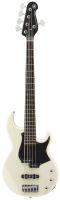 BB235 Electric 5 String Bass Guitar